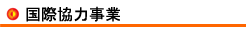 ���ۋ��͎���