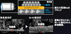 ̌NaubN